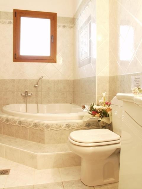 Hotel Archontiko Dimitra ヴェルギナ 部屋 写真